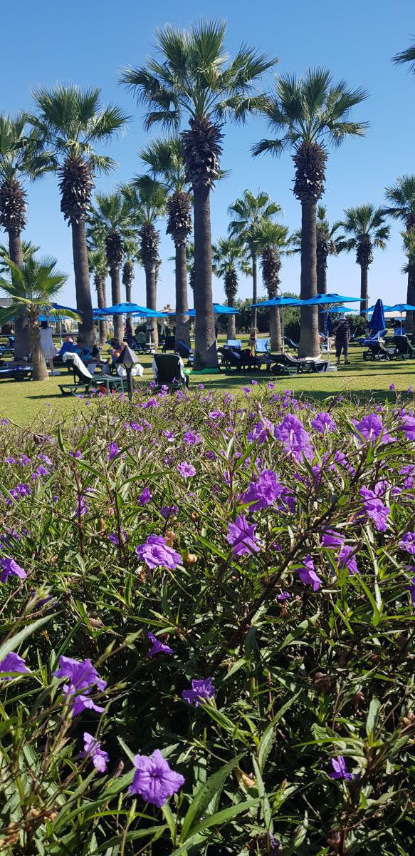 imagini hotel MEGASARAY 2021